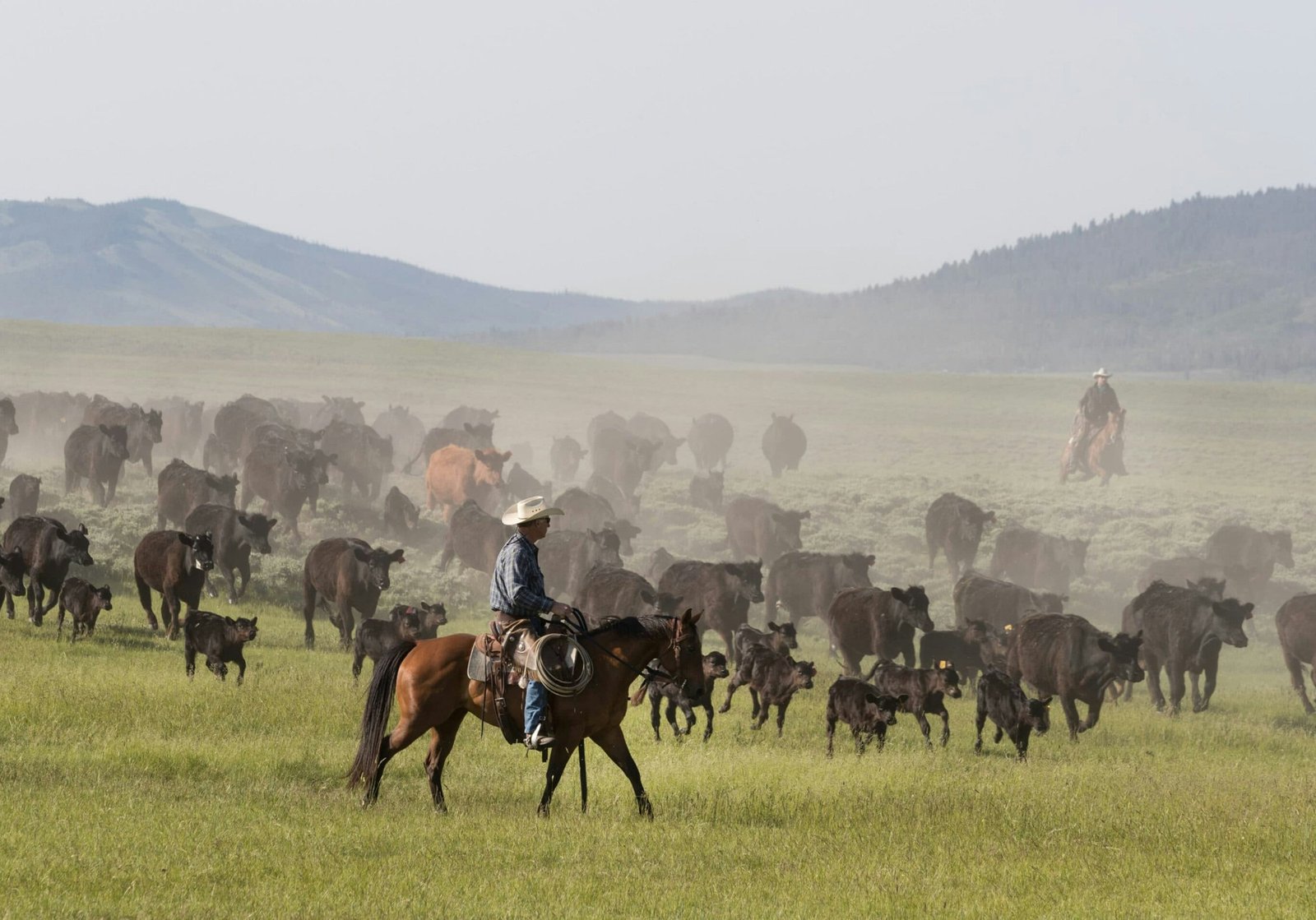american ranches view(2)