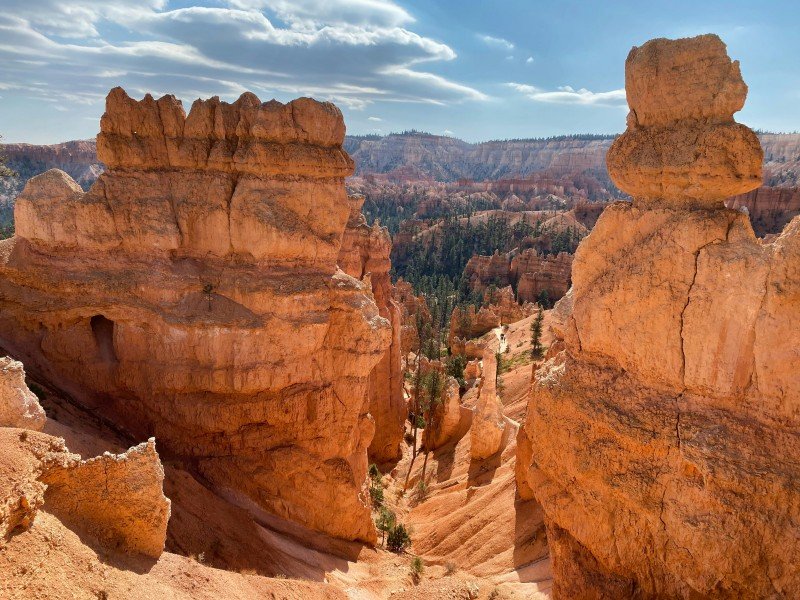 usa landscape 6