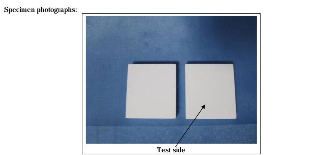 antifungal activity test
